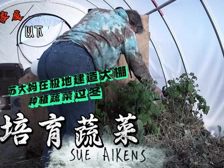 零度以下的生活:苏大妈在北冰洋建造温室大棚培育蔬菜过冬 #野外生存 #零度以下的生活纪录片