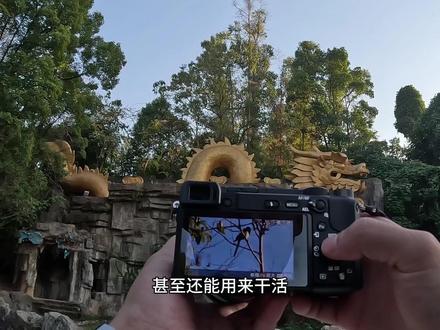 #摄影器材 #相机推荐 #二手相机 贫穷摄影之索尼A6400搭配18-135一镜走天下的镜头,曾经被人们称为半画幅微单天花板,机身有着2420万的有效像素,最高支持11张每秒的连拍。视频方面,支持4K30帧的无裁切拍摄和1080P120帧的升格拍摄,最主要的是这台相机有着非常强大的对焦速度,有人眼对焦,据说它的对焦速度可以跟A7M3媲美。