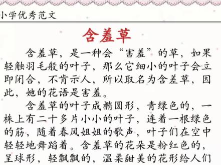 #知识分享 #小学作文 关于描写一种植物的范文。