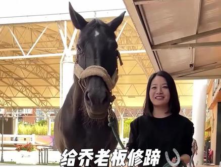 看给1200多斤的乔老板是怎么修蹄的
#马#马术 #宠物美容