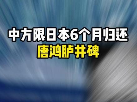中方限日本6个月归还唐鸿胪井碑