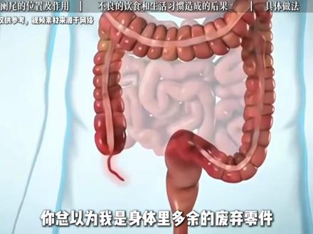 主人你好,我是你的阑尾,我不是只懂得发炎!#科普 #知识科普 #人体奥秘 #阑尾 #消化系统
