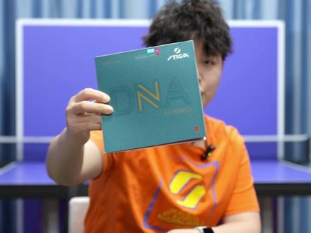 什么样的胶皮又粘又弹,还不贵? #乒乓球 #乒乓球器材 #斯帝卡 #温瑞博 #阿宝乒乓