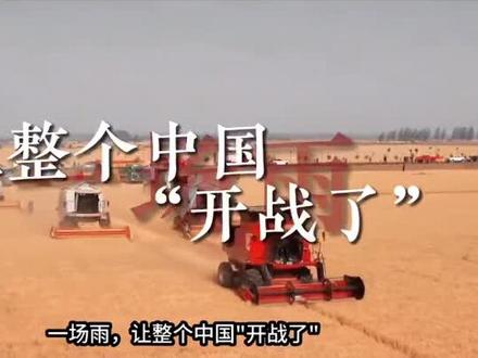 数万收割机齐出,驰援襄阳抢收百万亩小麦,老外看不懂了!#襄阳#抢收小麦#收割机跨区域作业#粮食#外网评论