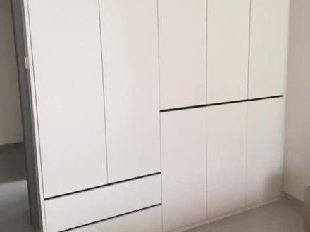 很多朋友问我最多的问题。1月光白柜门会不会发青问题?就我目前而言,说的发青问题?我觉得可以忽略不计,不太喜欢直白觉得过于色调过于偏冷。2菱花白与月光白颜色冲突问题?就我家现在这个程度的通风乳胶漆几乎已经是全干状态,色差问题是我可以接受的,肉眼情况下不会觉得突兀。#月光白柜门 #菱花白乳胶漆 #橱柜门的颜色和款式推荐