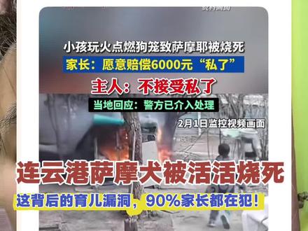 #连云港萨摩耶被烧事件 #神经科学与心理学 #神经科学 #育儿知识 科学教育真的需要重视!