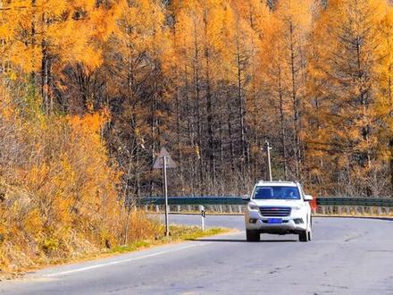 手机sanpseed粗糙处理!发几张流水日记。。。。
