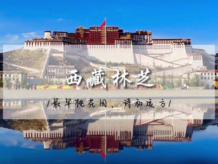 还在纠结去西藏赏林芝桃花的路线怎么走?看完这条线路保证你把西藏美景一举拿下。西藏最美自驾游路线,不信跟我们一起走一圈!#自驾游 #西藏 #旅行推荐官 #旅行大玩家 #旅行就和时光机一起