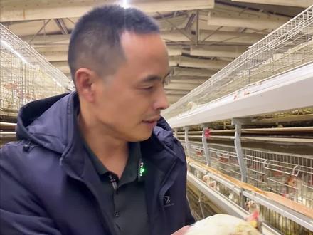 冬天养鸡,温度很重要#平凡的岗位不平凡的你们 #科学养鸡 #肉鸡养殖 #科学养猪 #肉鸡养殖小妙招