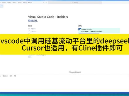 vscode中调用硅基流动里的deepseek模型