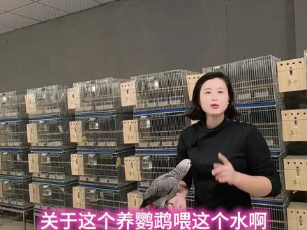 鹦鹉喝什么最健康,简单点~#手养鹦鹉