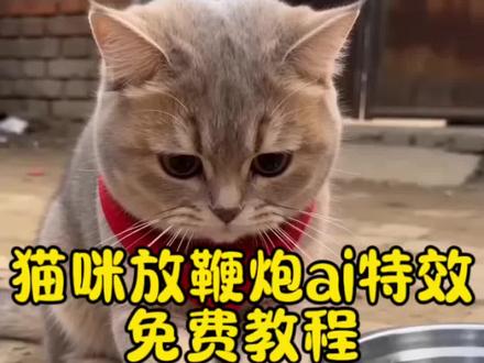 猫咪放鞭炮炸铁盆ai特效生成入口教程#ai猫咪放鞭炮 #随变放炮炸出一个小可爱 #ai炮仗惊飞落顶盆 #ai猫咪炮仗惊飞落顶盆 #剪映 炸狗盆搞笑视频 ai炮仗惊飞落顶盆特效 ai宠物 ai生成视频 猫咪放炮ai 猫叫声 猫咪ai视频 猫咪叫声吸引猫神器 猫咪搞笑瞬间 小猫玩炮 猫炸盆反应 小猫会放炮 拜年视频 ai图片生成指令烟花 ai狗扛炮弹搞笑视频 小狗放鞭炮 拍同款ai炮仗惊飞落顶盆 过年炸狗盆 放炮视频 一键生成ai猫咪放炮 小猫ai ai猫咪炮仗惊飞落顶盆 炮仗惊飞落顶盆拍同款 猫咪ai放炮 喵斯拉ai ai动物笑声 随变放炮炸出一个小可爱特效 放炮搞笑瞬间 放鞭炮炸出的小可爱 ai放鞭炮特效一键生成 ai炮仗惊飞落顶盆特效入口在哪 AI炮仗惊飞落顶盆特效入口 ai点炮仗特效 ai放鞭炮炸铁盆 点炮仗ai特效 小狗放鞭炮ai 随变ai ai放鞭炮特效生成入口 AI生成搞笑视频