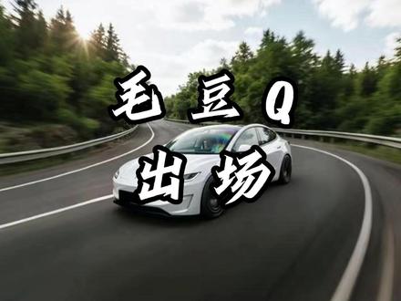 特斯拉毛豆Q真的要和大家见面了...#特斯拉