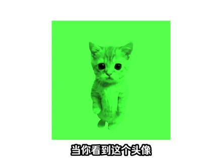 看头像猜主播在干啥…