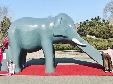 大象滑梯上新!天津宁园! #大象滑梯 #北宁公园 #天津 #童年回忆 #儿童节