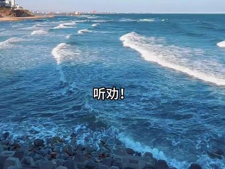 听劝 西港花园保姆级攻略!#秦皇岛旅游 #西港花园 #旅游攻略