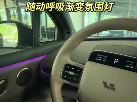 提理想汽车必设置的一个随动呼吸渐变氛围灯#电车车主真实感受 #理想汽车 #理想i6