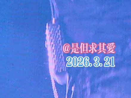 Evolution Nic Live谢霆锋进化演唱会-深圳站 Day2,28.《开放日》谢霆锋live版,#神级现场 #谢霆锋 #谢霆锋深圳演唱会 #音乐 #音乐分享 @锋味
