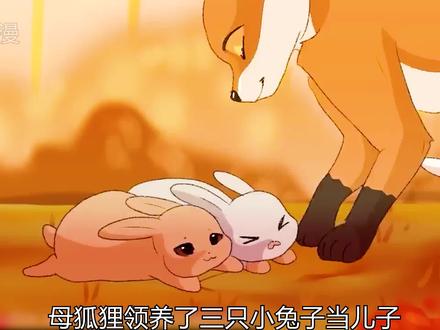 母狐狸养了三只小兔子当儿子,丈夫一气之下和她离了婚#暖心短片#治愈动画#短片解说