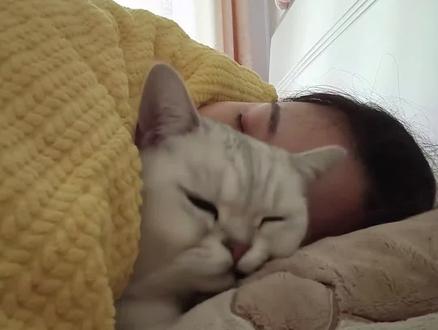 你知道在猫咪眼中上床睡觉意味着什么吗?#科学养宠攻略 #猫咪知识 #养宠进阶指南 #新手养猫