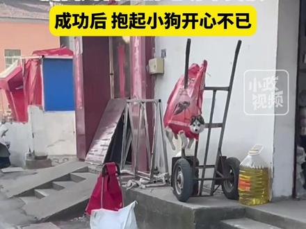 1月3日(发布),江苏。女子见小狗被悬挂,心生怜悯,提出用自己的电动车交换,成功后,抱起小狗开心不已。关注👉@小政视频 #江苏dou知道 #以物换物 #救助小狗 #救助动物 (来源:@墨鱼仔的小院 小红书:9381377331)