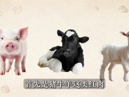 各种肉类到底怎么冻,才能最大程度保存营养和口感? #冷冻肉 #鲜肉 #满级吃商通关赛 #青年创作者成长计划