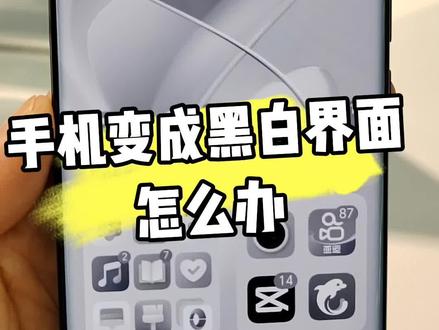 荣耀手机屏幕变成黑白色了怎么办?#荣耀手机隐藏功能