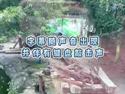 剪辑视频教程有键盘敲击声,打字声的字幕如何随着声音出现#干货分享 #教程 #剪辑教程 #vlog日常 #原创视频 @DOU+小助手 @抖音小助手