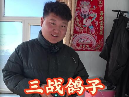 来了来了家人们#我的乡村生活 #鸽子 #农村生活记录