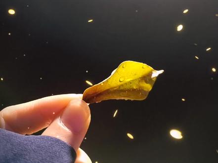 “总有那么一瞬间,忽然鼻子一酸,内心五味杂陈”