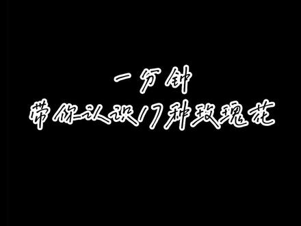 一分钟带你认识17种玫瑰花。#玫瑰 #花材认识 #花店 #花与生活 #秋拾花艺
