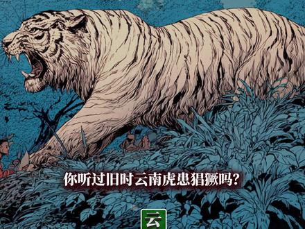 云南虎患篇章 动漫系列 #云南 #老虎 #孟加拉虎 #猛兽 #动物
