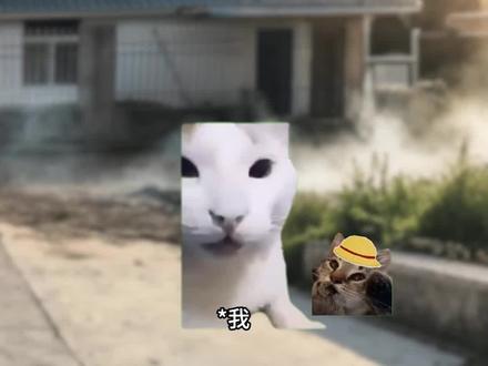 “闰土哥你来啦”“老爷” #猫meme #朝花夕拾 #回不去的童年 #友情 #成长