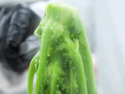 享有“菜心之冠”美誉的增城迟菜心~#广东美食 #抖音美食推荐官 #抖音心动餐厅