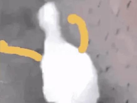 “啊啊啊!!导演还没喊开始,柯淳一个眼神过去,翟一莹的耳朵先红了!!!”#谁520把柯淳惹哭了 #第二十五时区的情书