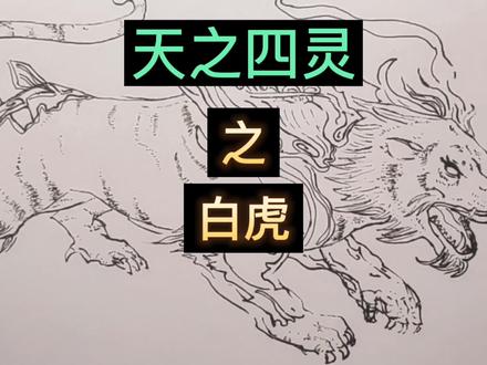 手绘古代神话,天之四灵之白虎,代表西方之神,威严,你爱画画吗