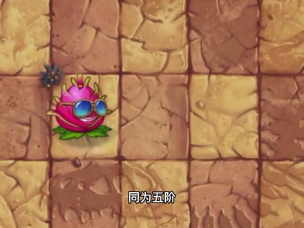 植物实战对决,五阶火龙果PK五阶猕猴桃,谁战斗力更强大? #经典游戏 #植物大战僵尸 #pvz2