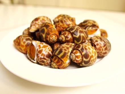 每天都有人大呼上当还不知原因的海鲜,假冒本土花螺的深沟东风螺 #花螺 #海螺 #深沟东风螺 #深沟凤螺 #海鲜