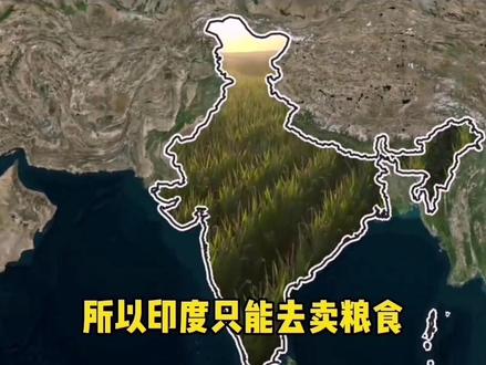 自己都不够吃,印度为啥还要出口粮食?#涨知识 #知识先锋计划 #科普 #印度 #粮食
