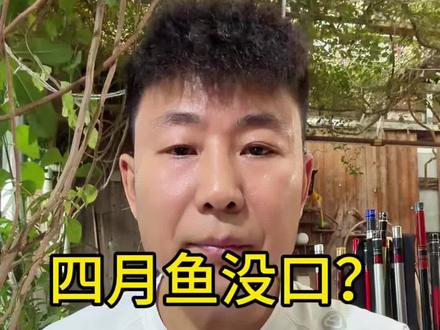四月了鱼没口?因为你没搞懂这些#钓鱼技巧 #钓鱼人 #户外钓鱼 #钓鱼知识