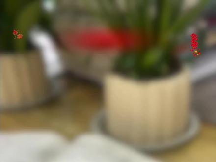 安徽高二会考出分在即!2月15日前可查 【2026安徽高二会考出分通知】
✅ 出分时间:2月15日(春节前)完成公布
✅ 查询渠道:①官网cx.ahzsks.cn ②安徽省教育招生考试院官网 ③考试院微信公众号(招考服务—信息查询)
✅ 成绩显示:仅标注「合格/不合格」,无具体分数,全省不合格率控制在2%以内
✅ 重要提醒:
1. 所有科目合格是获取高中毕业证的必备条件
2. 高考选科对应科目若不合格,无法以该组合报名高考;
3. 未合格科目可参加2026年9月补考,为高三阶段唯一补考机会;
4. 综合评价、港澳院校报考等均需提交会考合格成绩。
建议考生和家长及时查分,未合格者尽早规划补考复习!
#安徽高二会考 #会考成绩 #安徽高中 #壬乾宁 #壬乾宁学习法