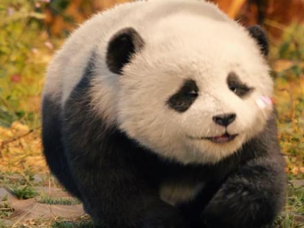 这个春节,成龙教会我们重新“拥抱” #熊猫计划之部落奇遇记 #看完熊猫计划迫不及待想拥抱家人 #成龙 #影娱年味不打烊 #影评人陪你过春节