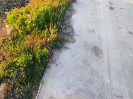 男人最大的劫,就是思念一个女人,男人到了中年最大的劫,就是爱上一个不该爱的女人,忘也忘不了,见又见不到,连见面都是一种奢侈,就更别提一个拥抱了。入了心,动了情便是一辈子的牵挂,放不下又忘不掉,这种痛只有经历过的人才会懂。
治愈系风景#乡村田野