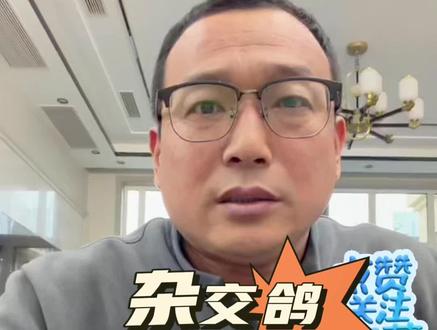 #赛鸽 #赛鸽比赛 #鸽子 每天一个养鸽小知识