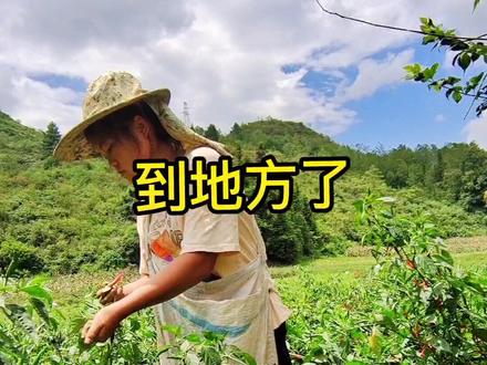 大山里的留守妇女、老公给的生活费不够我们娘仨用、骑车去15公里的娘家哪里做小工、一天下来才赚到36、在农村赚点💰不容易,不过也可以给孩子买几斤肉肉了#农村