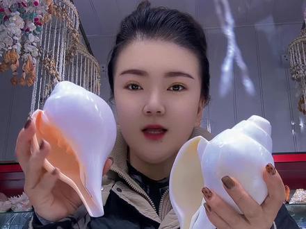 #海螺 #法器 尼泊尔右旋海螺号角