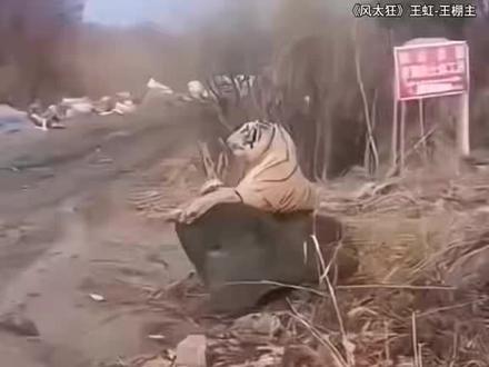 跟真的一样卧槽#看一遍笑一遍 #搞笑