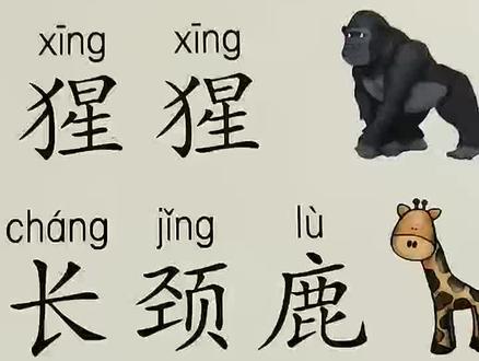 #汉字 #成人识字#教育#识字#拼音@DOU+小助手 @抖音小助手