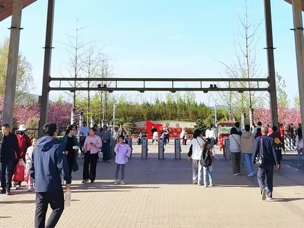石家庄龙泉湖湿地公园,#这么近那么美周末到河北