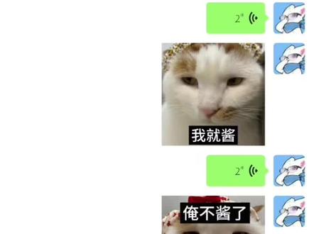 河南话真有意思哈哈哈#河南话 #表情包配音 #asmr #小猫表情包 #配音